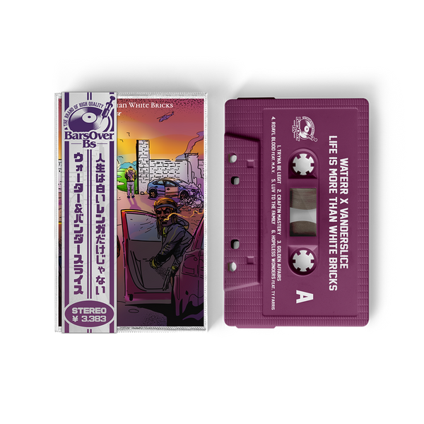 WateRR x Vanderslice - Life Is More Than White Bricks (Cassette Tapes)