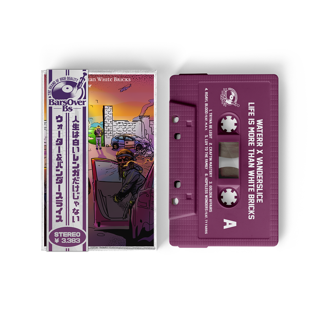 WateRR x Vanderslice - Life Is More Than White Bricks (Cassette Tapes)