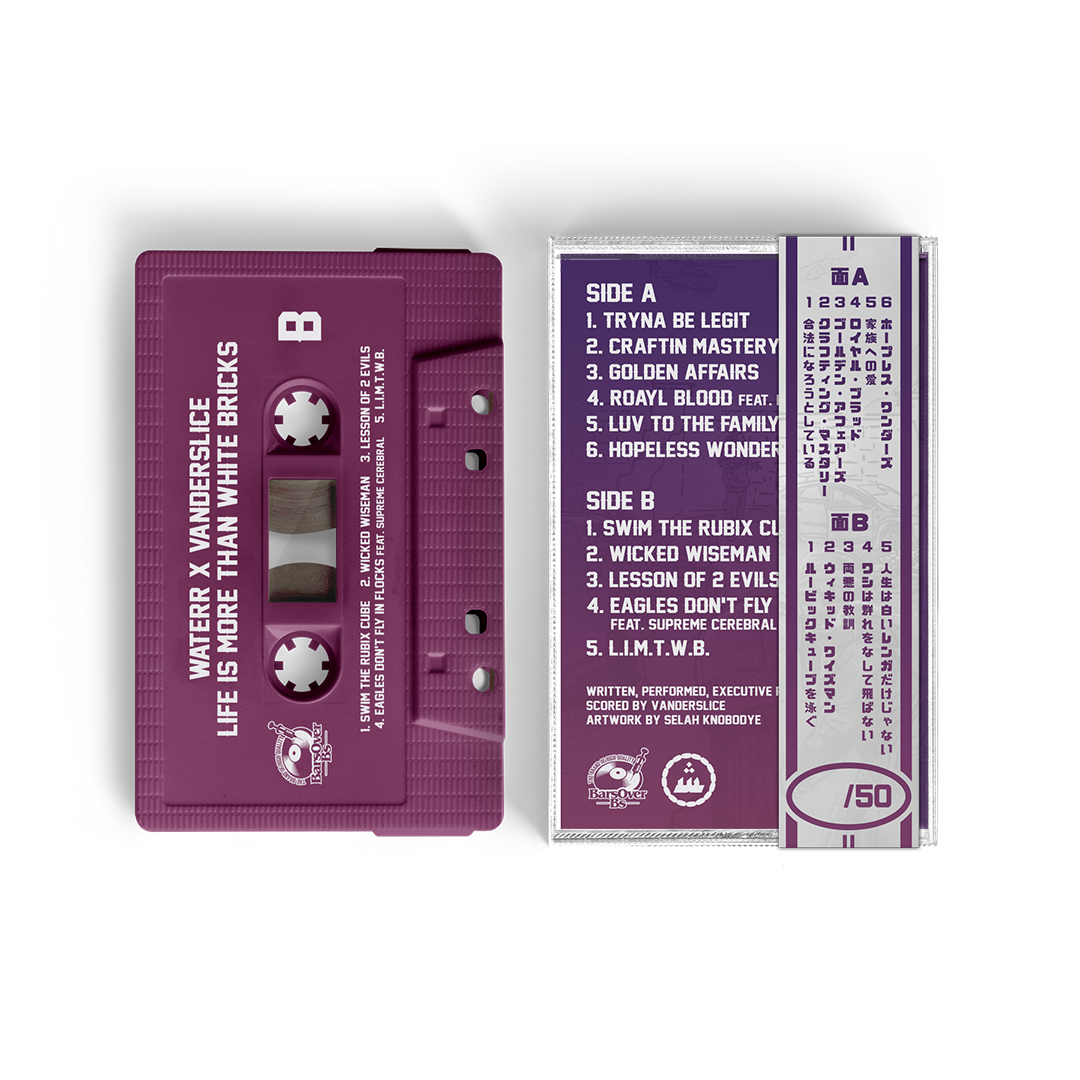 WateRR x Vanderslice - Life Is More Than White Bricks (Cassette Tapes)